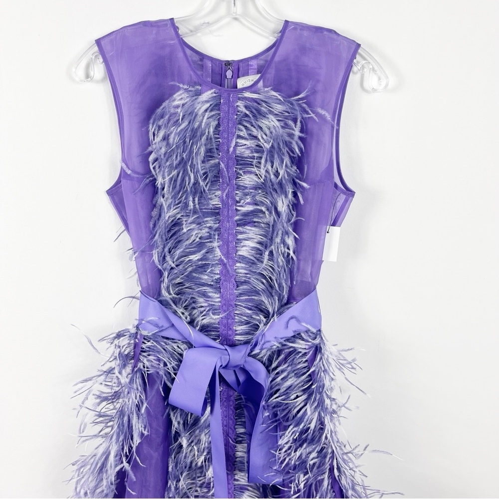 Huishan Zhang Beau Ostrich Feather Embellished Silk Organza Gown Size 6 NWT - Picture 4 of 10